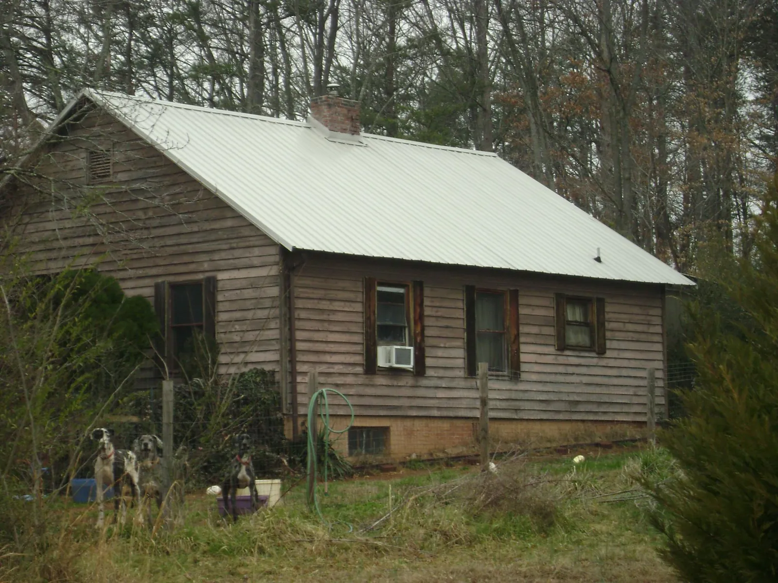 White metal roof on an old wood sided farmhouse, from a Asphalt Shingle Roof Repair job in Sligo